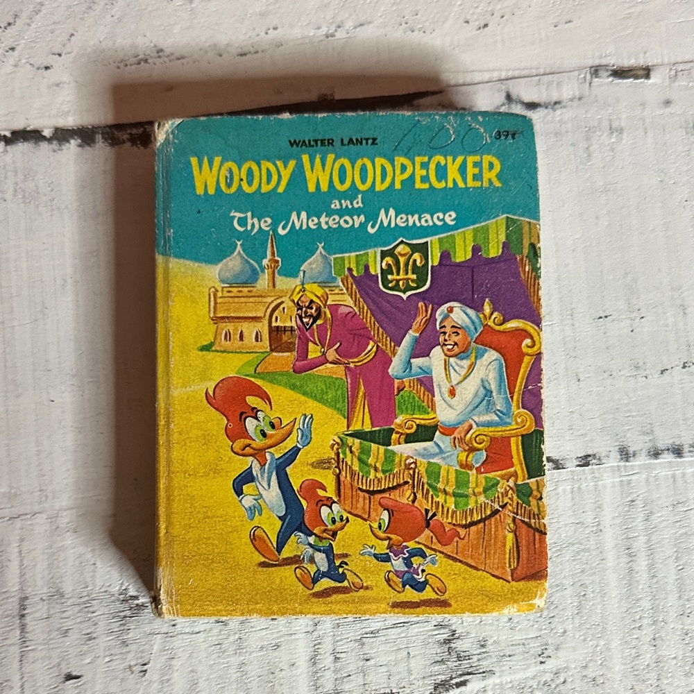 Woody Woodpecker Vintage Book